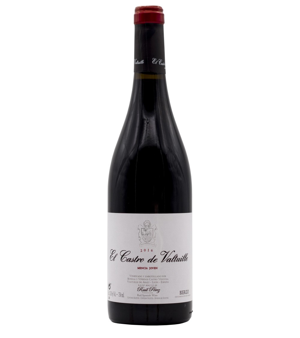 Castro Valtuille Joven